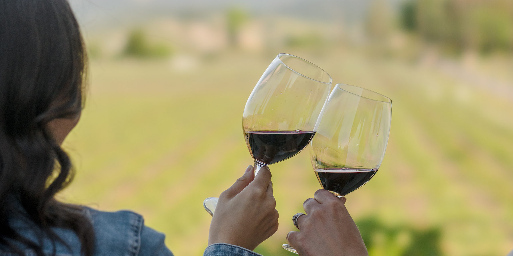 Vineyard Red Wine Glasses