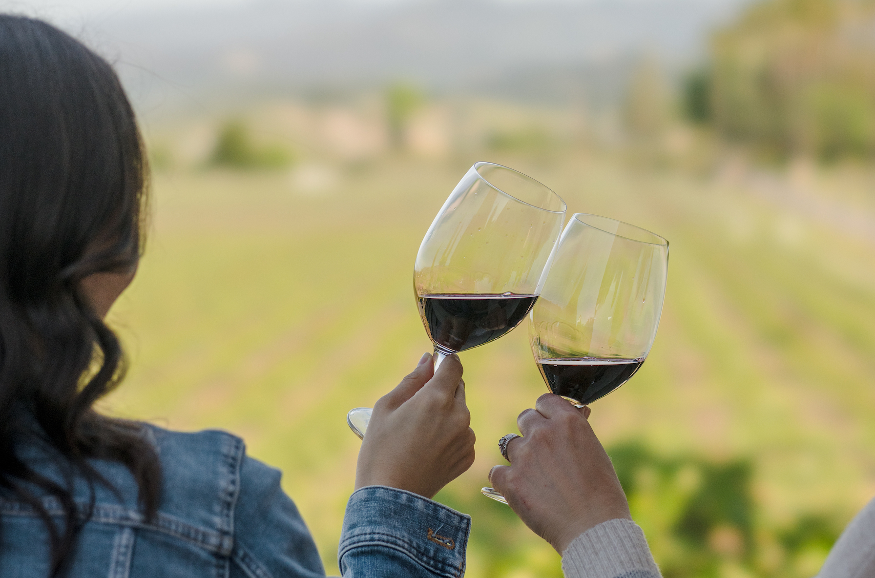 How to Taste Wine—the Basics and Beyond - Round Pond Estate